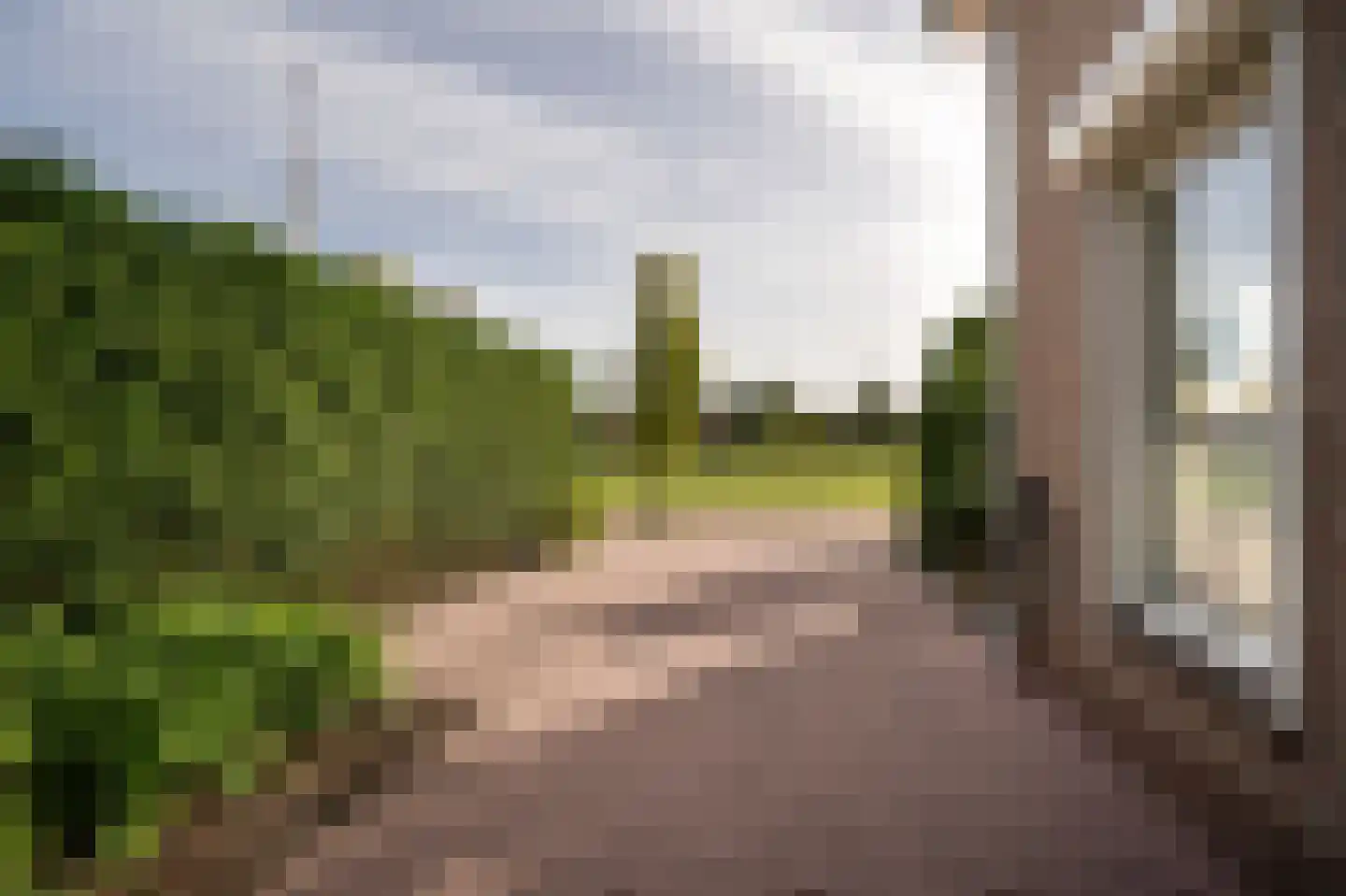 Wilgenhof 43 Giessen thumbnail 9