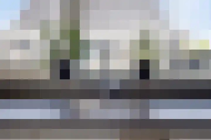 Wilgenhof 47 Woubrugge thumbnail 10
