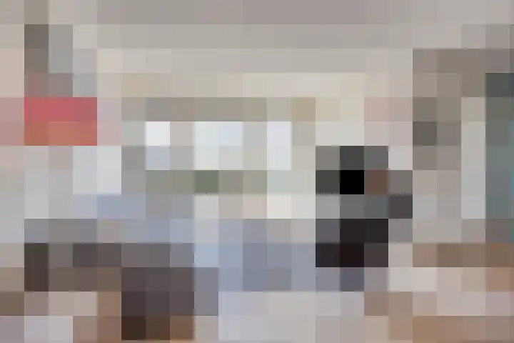 Wilgenhof 47 Woubrugge thumbnail 11