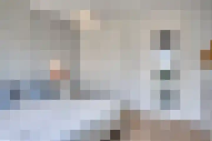Wilgenhof 47 Woubrugge thumbnail 19