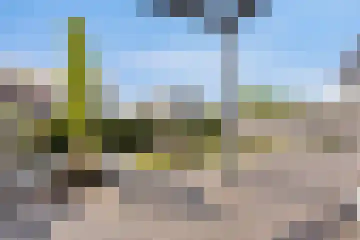 Wilgenhof 47 Woubrugge thumbnail 29