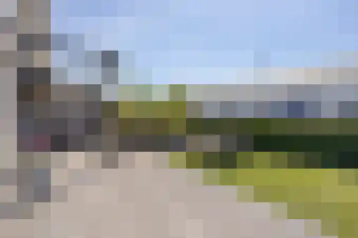Wilgenhof 47 Woubrugge thumbnail 30