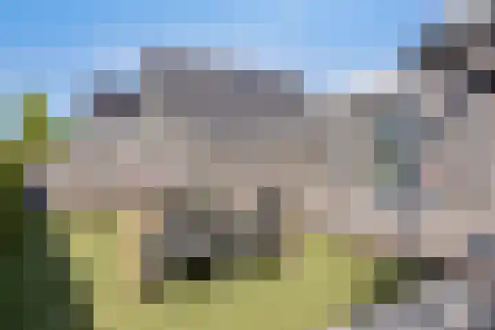 Wilgenhof 47 Woubrugge thumbnail 32