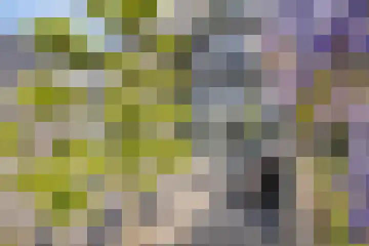 Wilgenhof 47 Woubrugge thumbnail 33