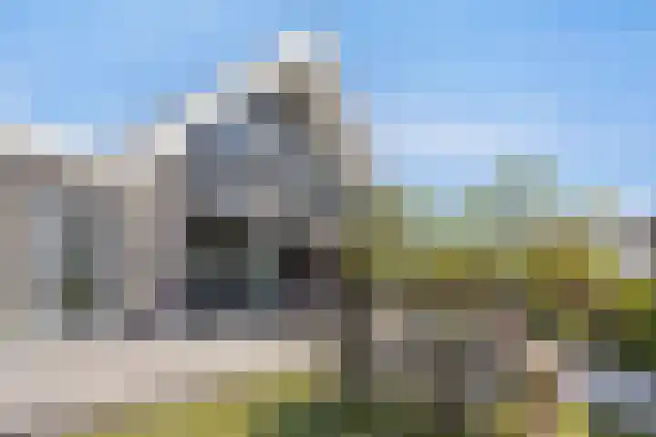 Wilgenhof 47 Woubrugge thumbnail 35