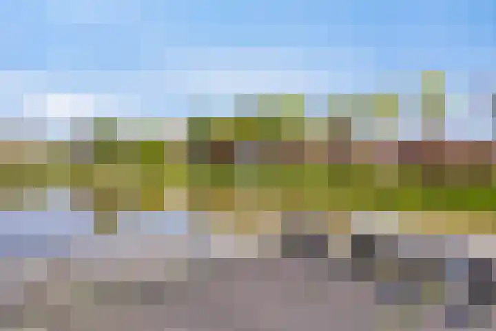 Wilgenhof 47 Woubrugge thumbnail 39