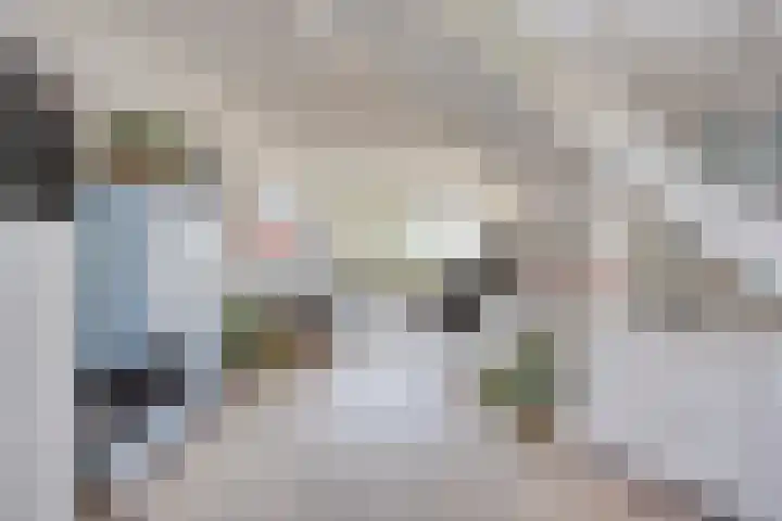 Wilgenhof 47 Woubrugge thumbnail 4