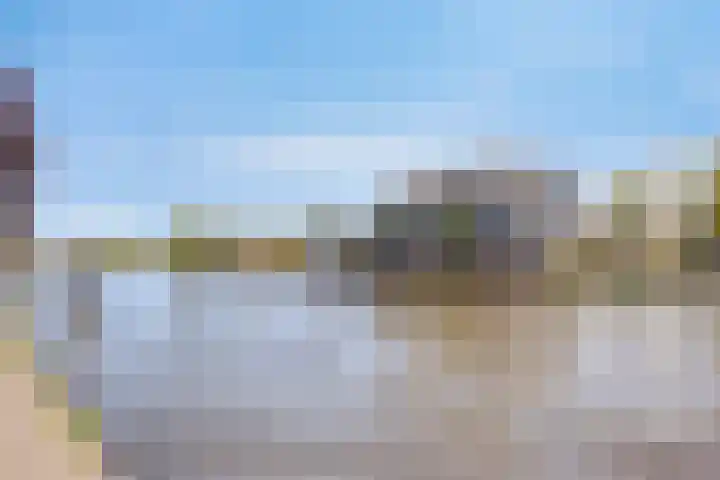 Wilgenhof 47 Woubrugge thumbnail 40