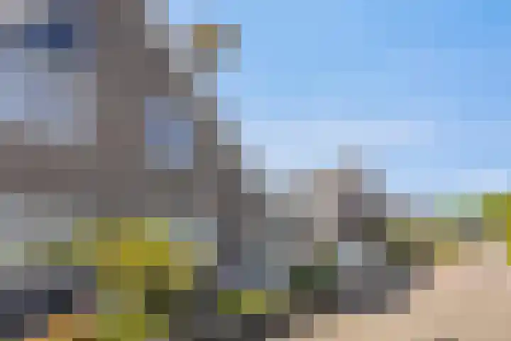 Wilgenhof 47 Woubrugge thumbnail 7