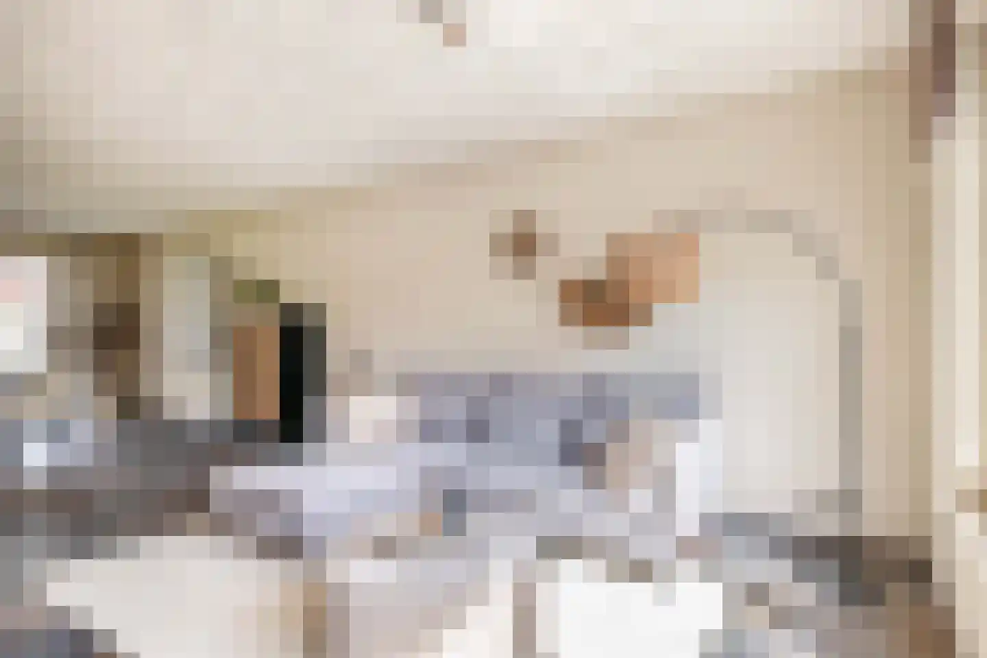 Wilgenhof 5 Deurne thumbnail 17