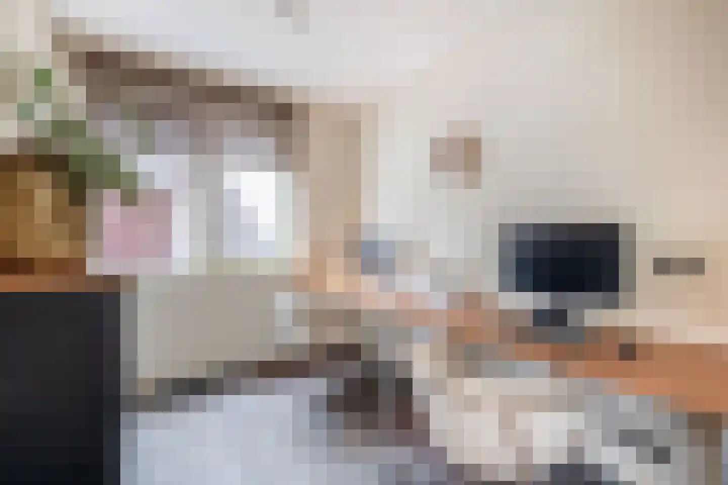 Wilgenhof 5 Deurne thumbnail 21