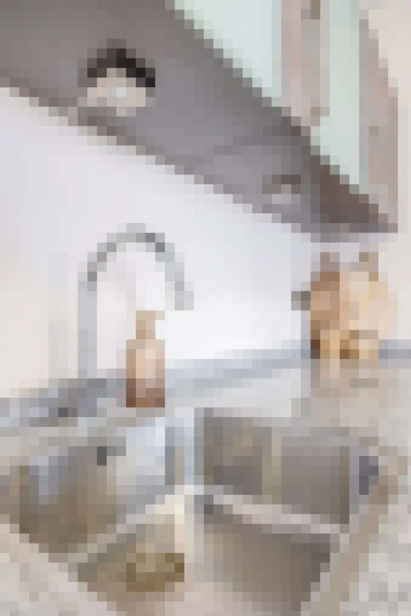 Wilgenhof 5 Deurne thumbnail 30