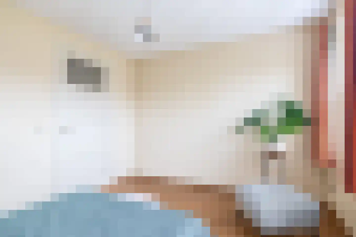 Wilgenhof 5 Deurne thumbnail 43
