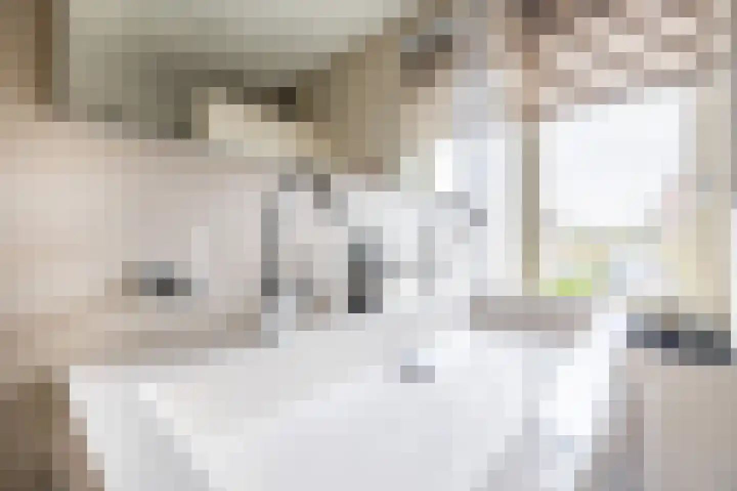 Wilgenhof 5 Deurne thumbnail 49