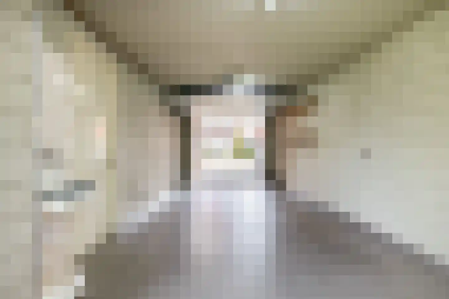 Wilgenhof 5 Deurne thumbnail 54