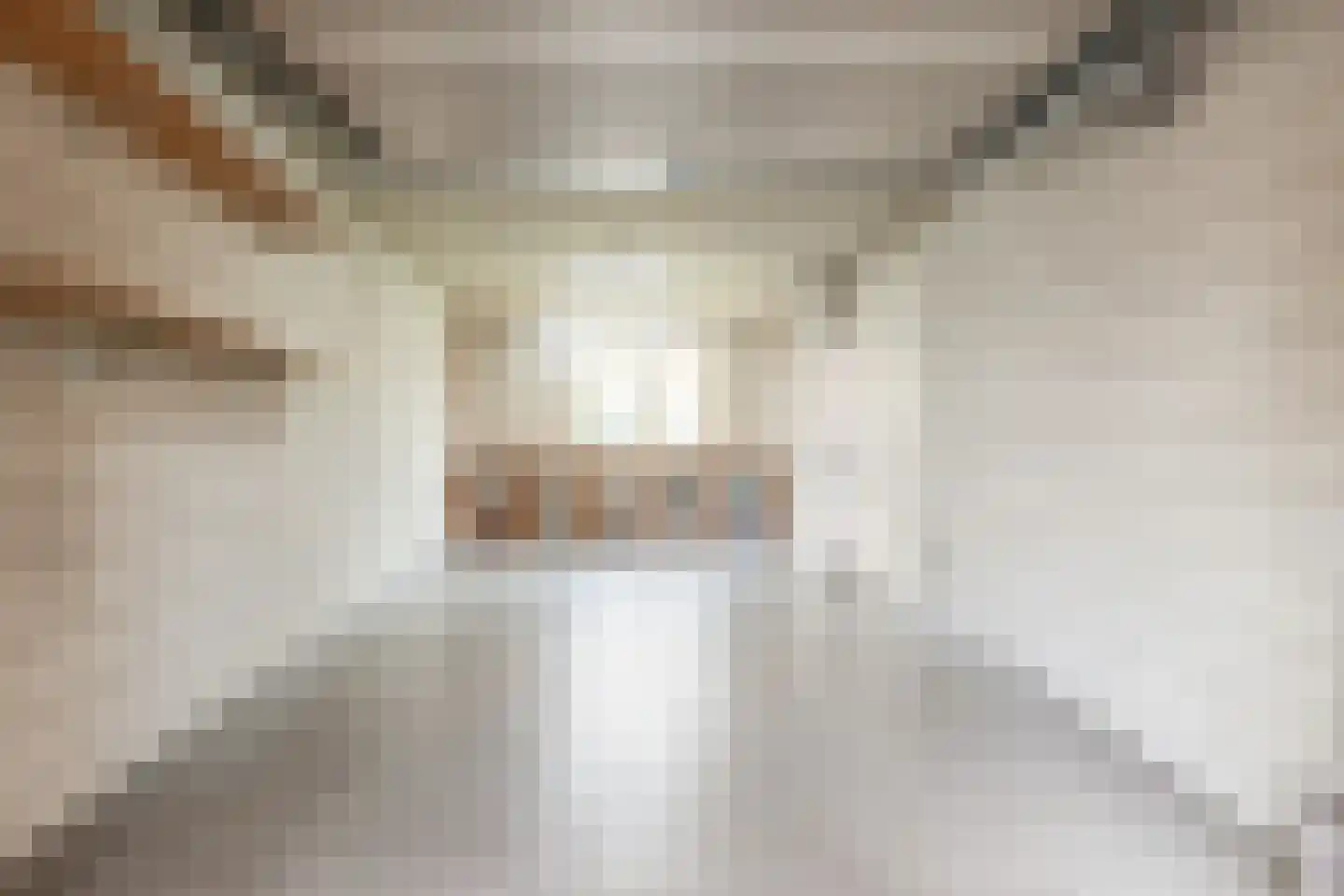 Wilgenhof 5 Deurne thumbnail 55
