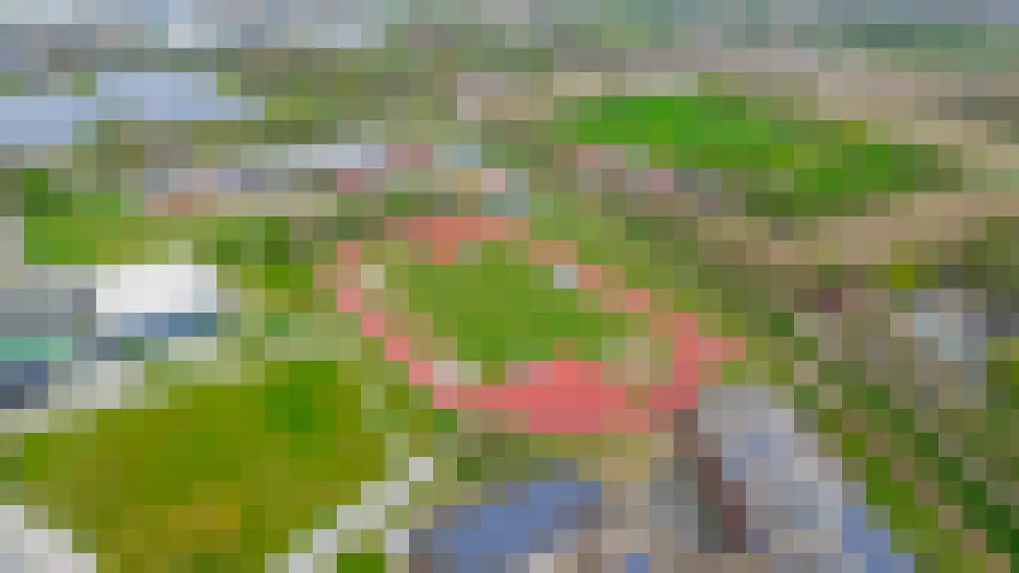 Wilgenhof 5 Deurne thumbnail 73