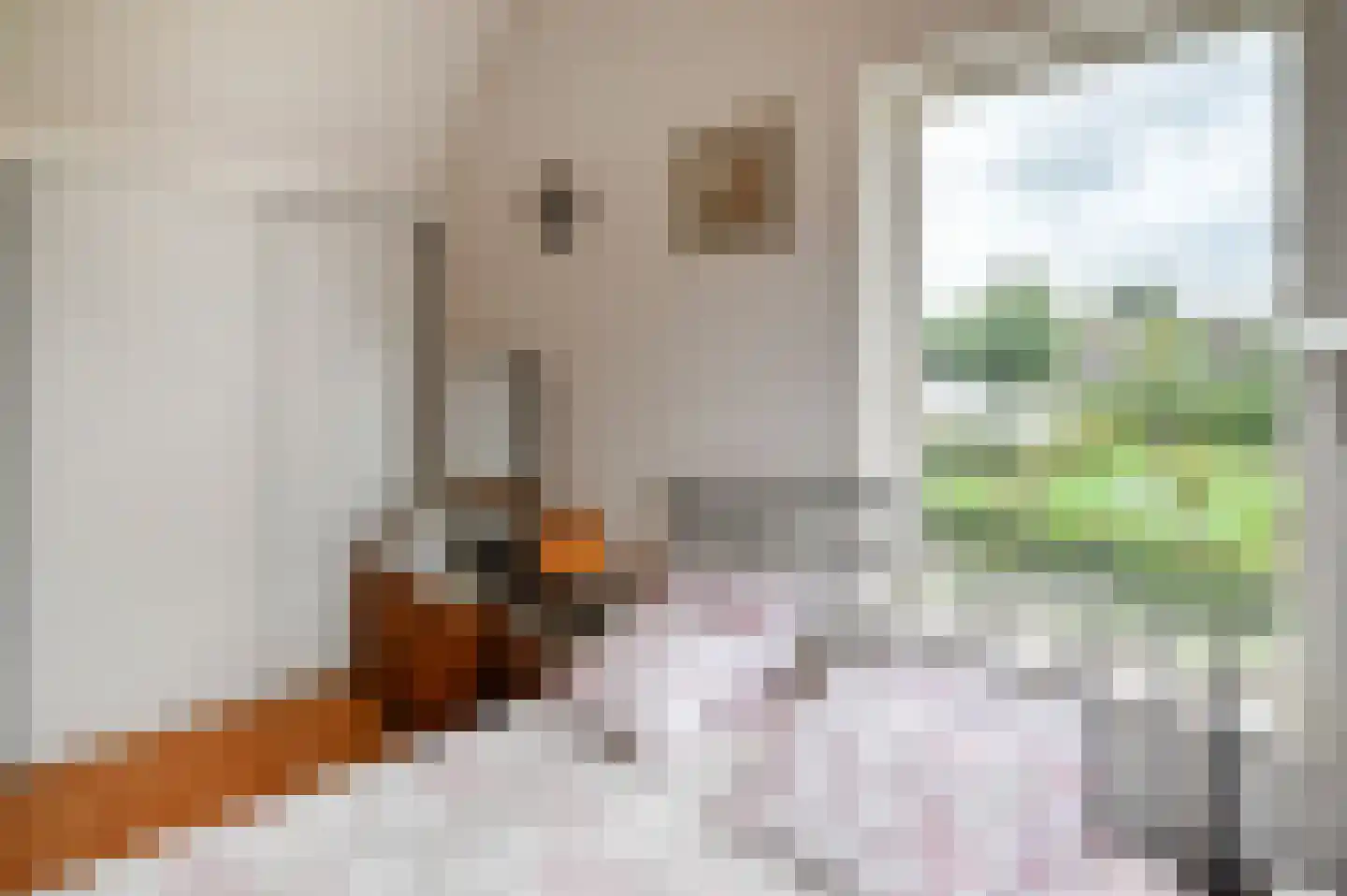 Wilgenhof 50 De Kwakel thumbnail 18