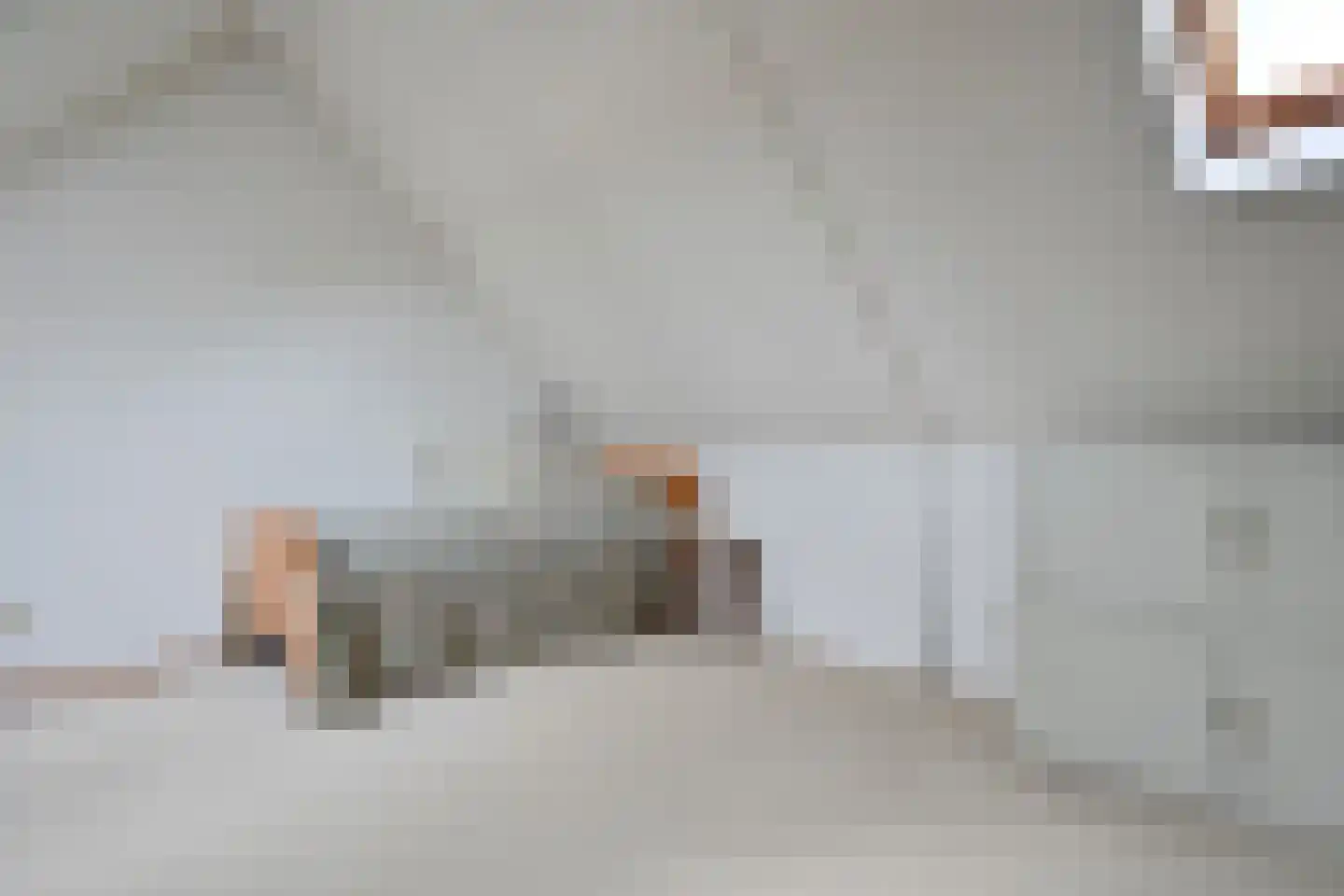 Wilgenhof 50 De Kwakel thumbnail 21