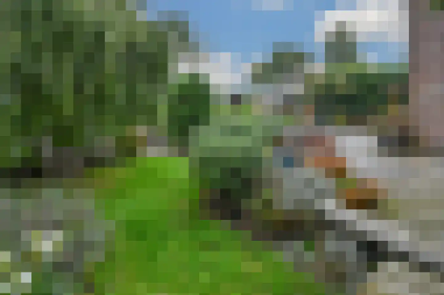 Wilgenhof 50 De Kwakel thumbnail 23