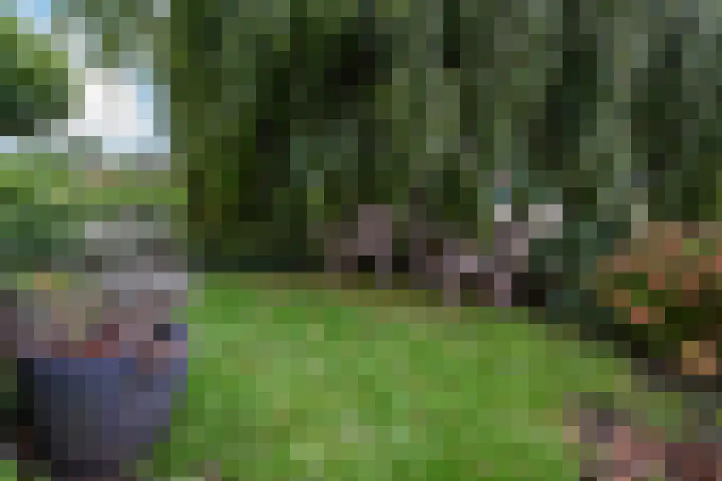 Wilgenhof 50 De Kwakel thumbnail 25