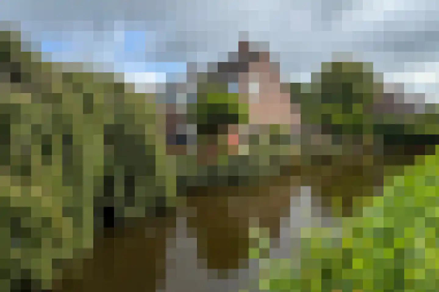 Wilgenhof 50 De Kwakel thumbnail 28