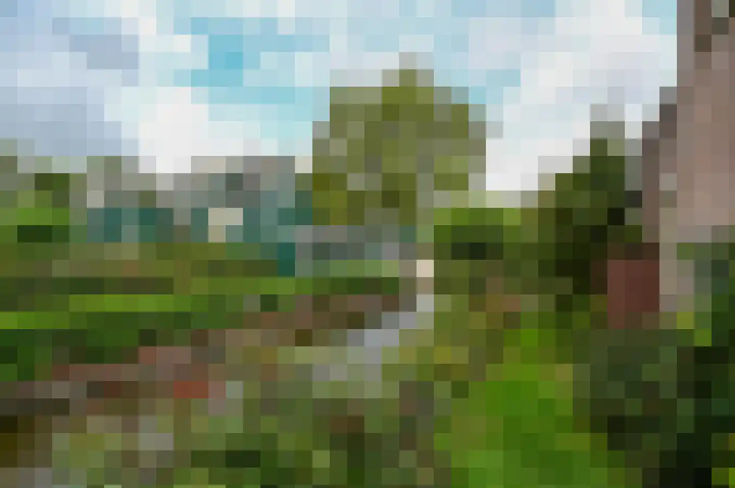 Wilgenhof 50 De Kwakel thumbnail 29
