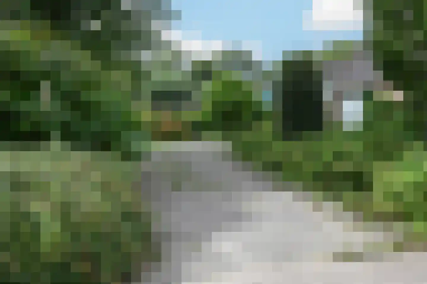 Wilgenhof 50 De Kwakel thumbnail 31