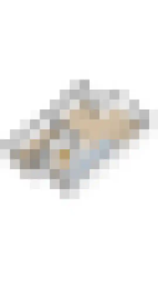 Wilgenhof 50 De Kwakel thumbnail 37