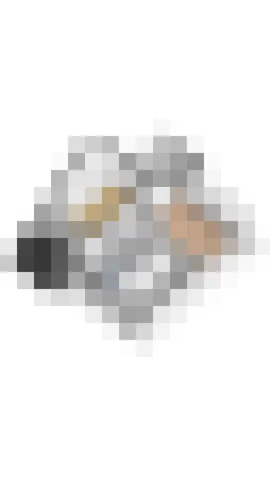 Wilgenhof 50 De Kwakel thumbnail 39