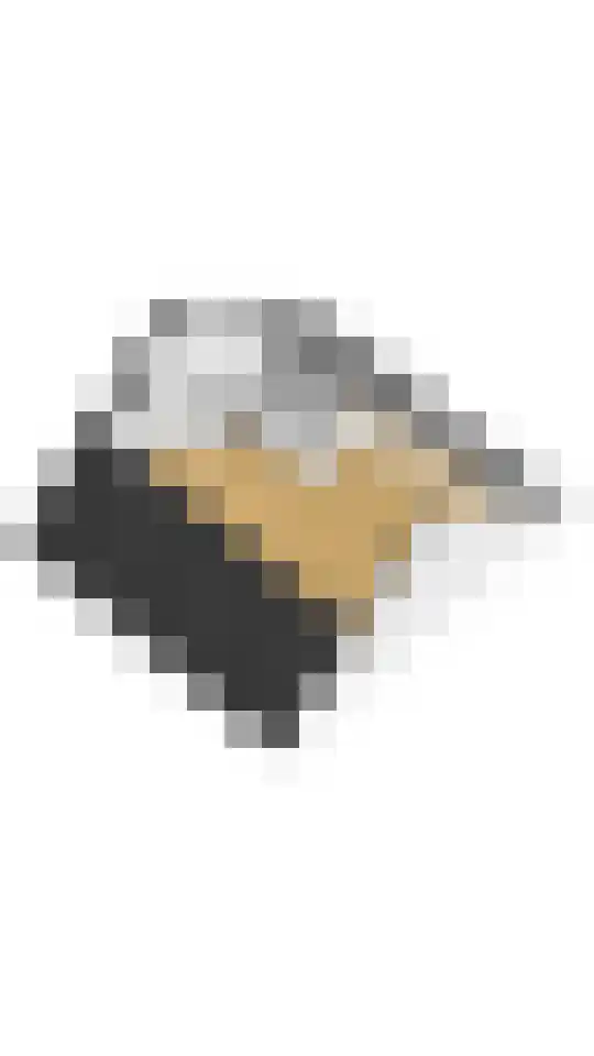 Wilgenhof 50 De Kwakel thumbnail 41