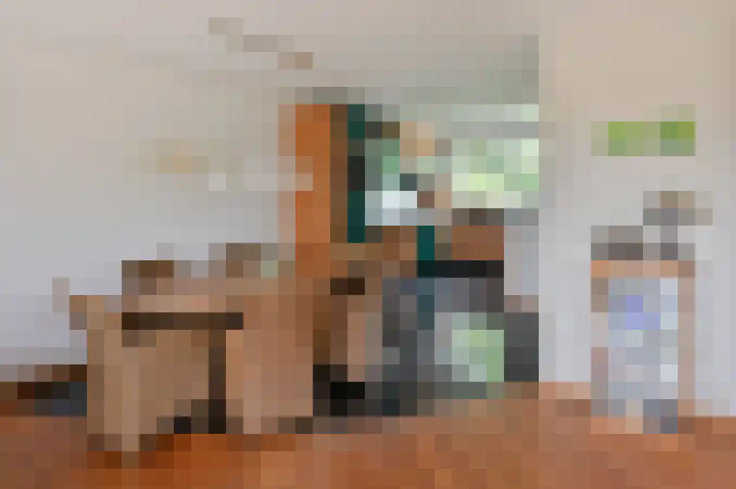 Wilgenhof 50 De Kwakel thumbnail 7