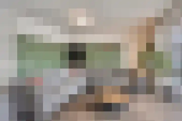 Wilgenhof 54 Deurne thumbnail 13
