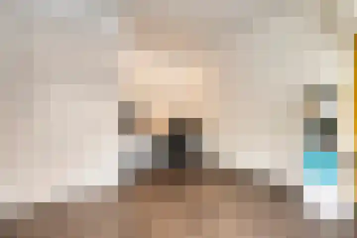 Wilgenhof 54 Deurne thumbnail 17