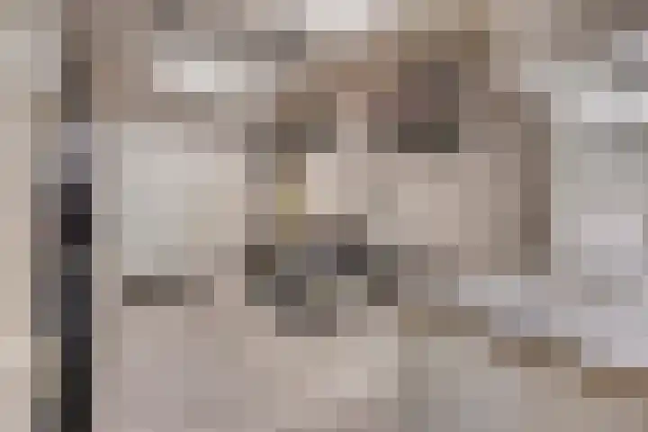 Wilgenhof 54 Deurne thumbnail 18