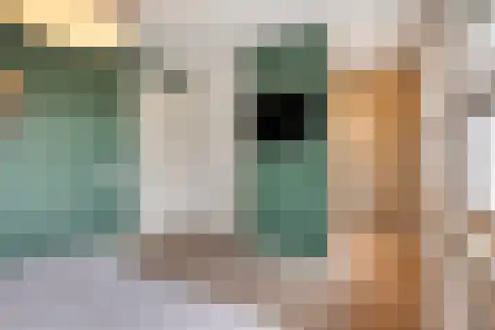 Wilgenhof 54 Deurne thumbnail 21
