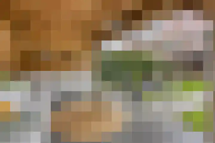 Wilgenhof 54 Deurne foto 3