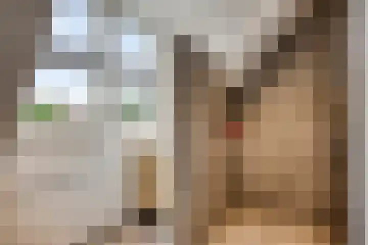Wilgenhof 54 Deurne thumbnail 30