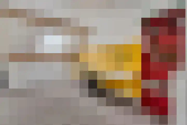 Wilgenhof 54 Deurne thumbnail 33