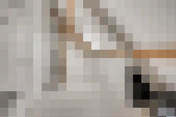 Wilgenhof 54 Deurne thumbnail 34