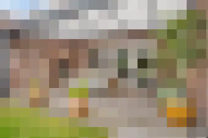 Wilgenhof 54 Deurne thumbnail 37