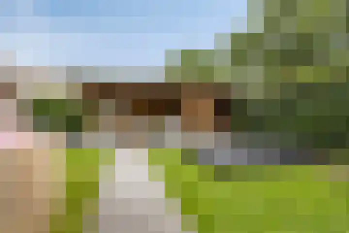 Wilgenhof 54 Deurne thumbnail 39