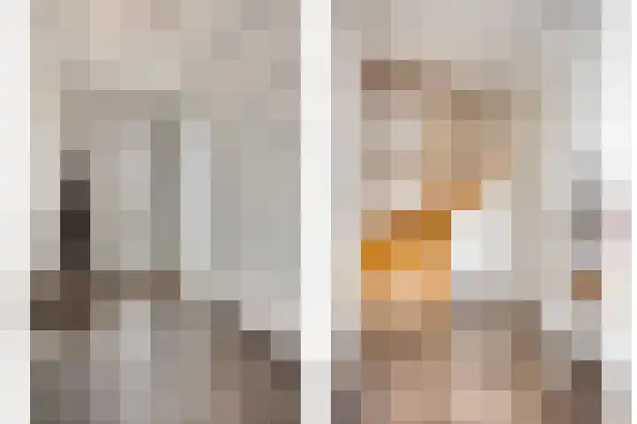 Wilgenhof 54 Deurne thumbnail 4