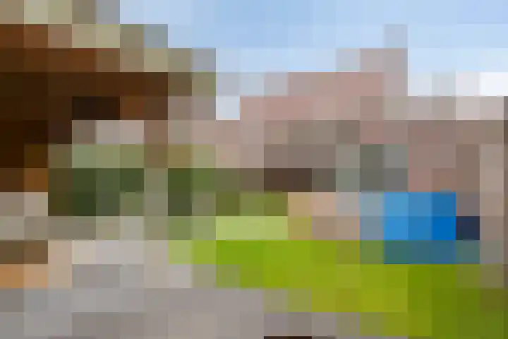 Wilgenhof 54 Deurne thumbnail 41