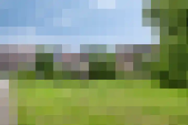 Wilgenhof 54 Deurne thumbnail 44