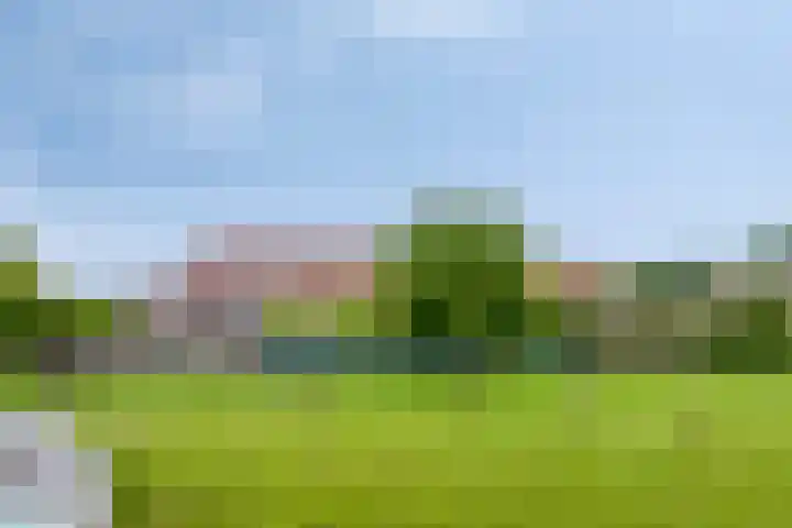 Wilgenhof 54 Deurne thumbnail 45