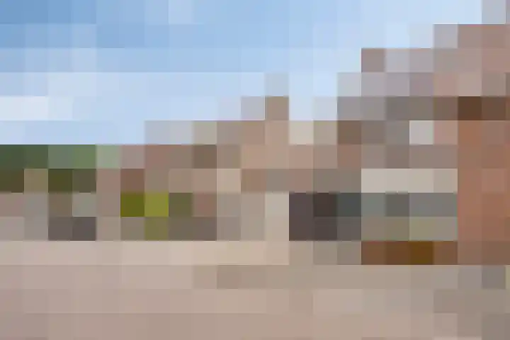 Wilgenhof 54 Deurne thumbnail 46