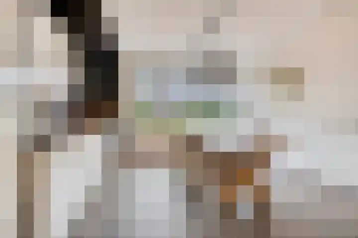 Wilgenhof 54 Deurne thumbnail 5