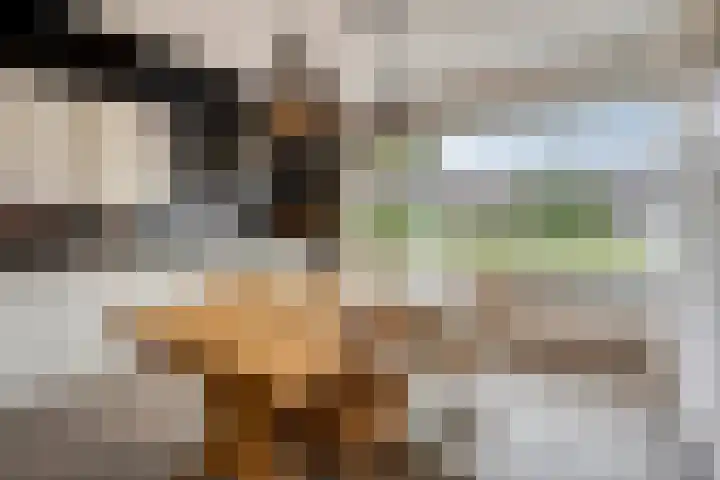 Wilgenhof 54 Deurne thumbnail 6