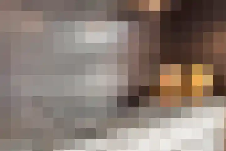 Wilgenhof 54 Deurne thumbnail 8